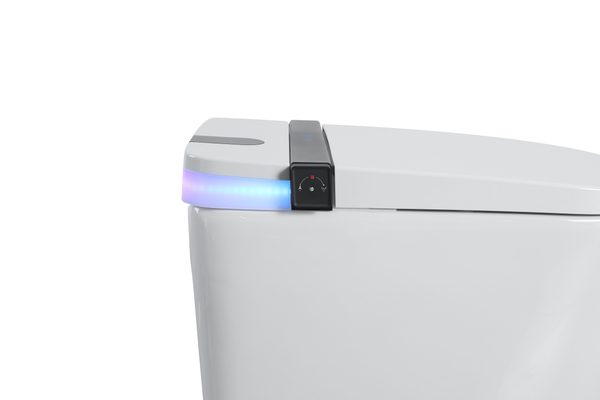 Smart Toilets S21 G