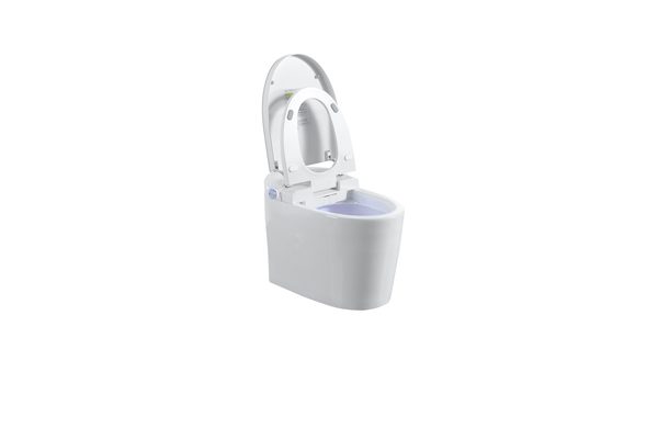 Smart Toilets S31 G