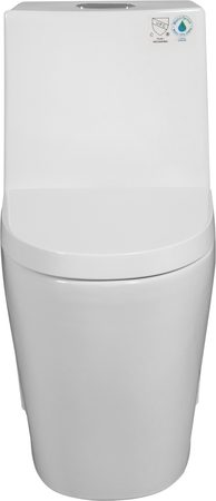 Smart Toilets