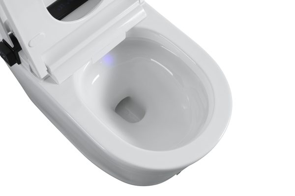 Smart Toilets S21 G