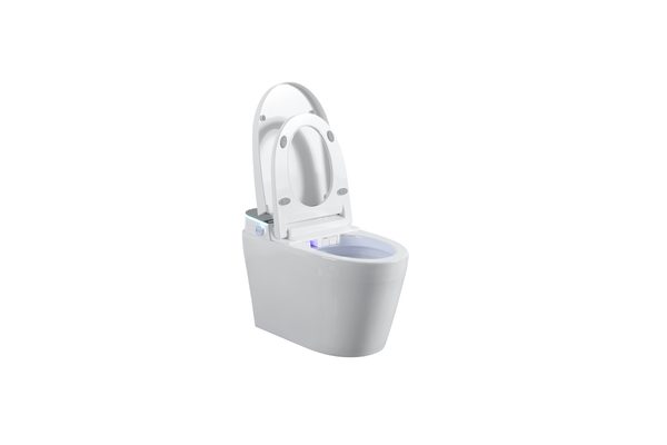 Smart Toilets S61