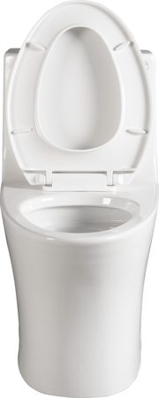 Smart Toilets T12