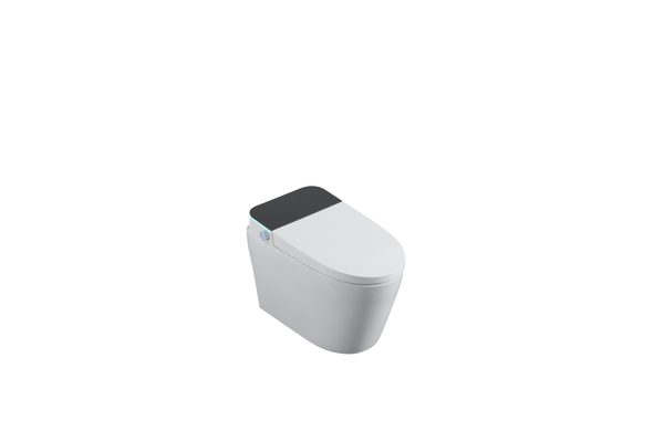 Smart Toilets S61