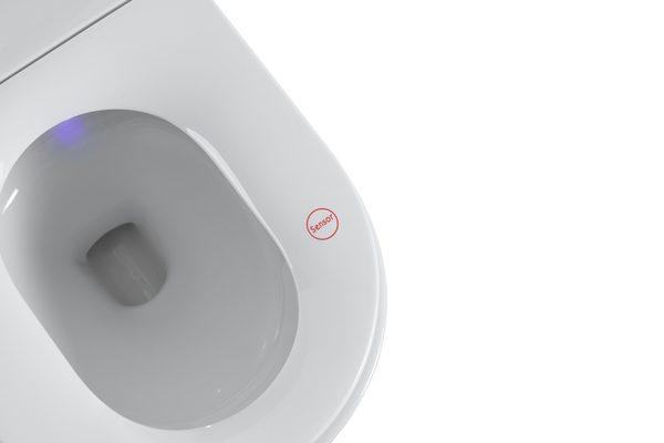 Smart Toilets S21 G