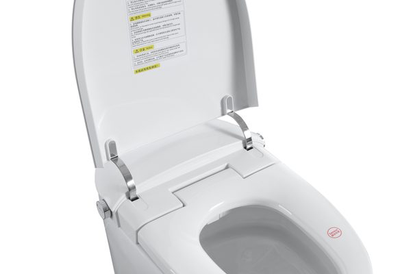 Smart Toilets S31 G