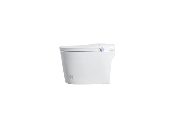 Smart Toilets S31 G