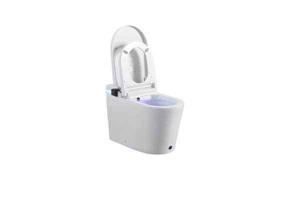 Smart Toilets S21 G