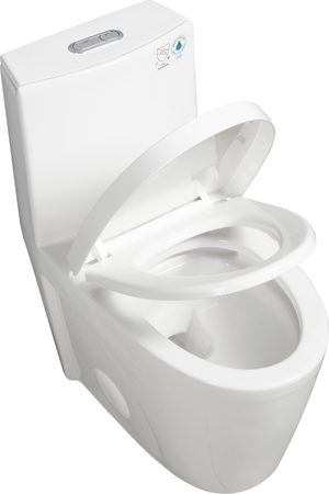 Smart Toilets