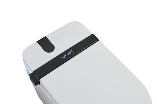 Smart Toilets S21 G
