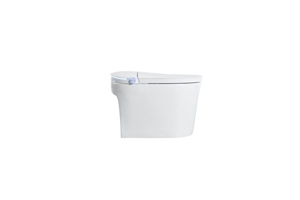 Smart Toilets S31 G