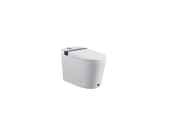 Smart Toilets S21 G