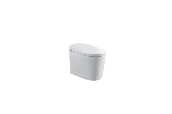 Smart Toilets S31 G