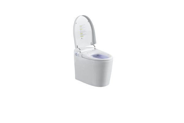 Smart Toilets S31 G