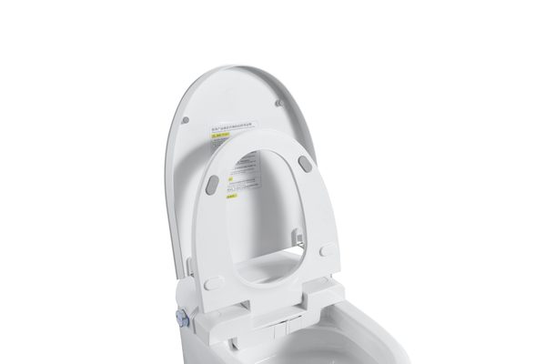 Smart Toilets S31 G