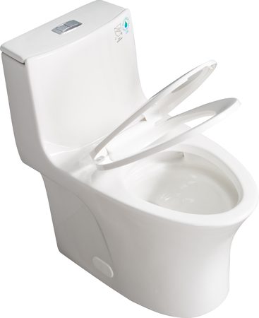 Smart Toilets T12