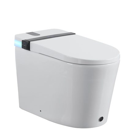 Smart Toilets