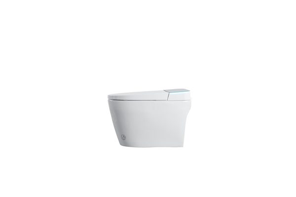 Smart Toilets S61