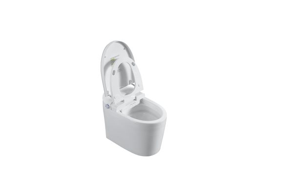 Smart Toilets S31 G
