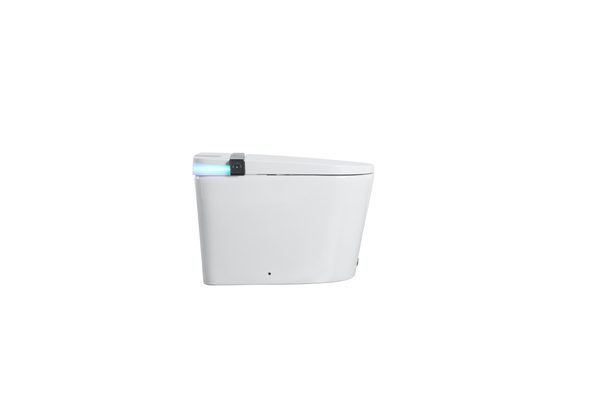 Smart Toilets S21 G