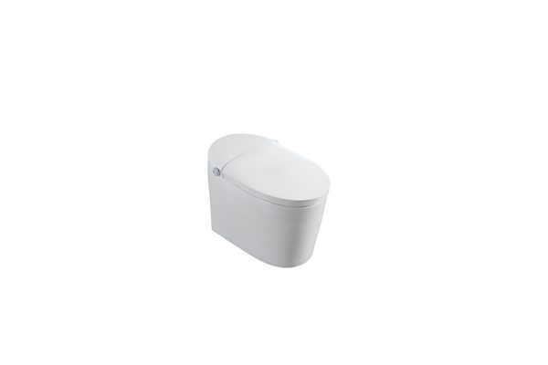 Smart Toilets S31 G