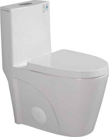 Smart Toilets