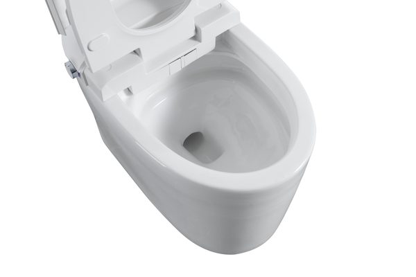 Smart Toilets S31 G