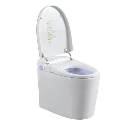 Smart Toilets S31 G
