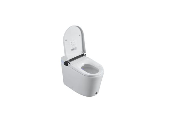 Smart Toilets S21 G